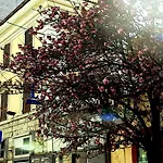 Coppede' Hotel 3*